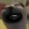 tripi_tropi1488