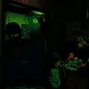 baxgdxvid