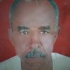 منية ابوالفتوح