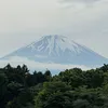aivibi