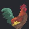 el_pollito404