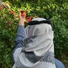 raed.ali7d