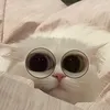 da_i_pokhuy_plyashem