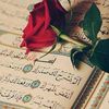 basma9965