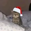 _b1to