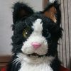 yoshicattoys