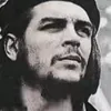 zalimanzaliman229