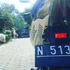 hayhady