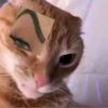 drasaofficial