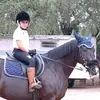 walky_horse