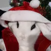 yurimerino94