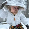 hiigor.xxz
