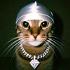 champagne.cat