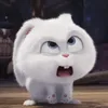 enlov_d