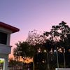 nurnatasy4_