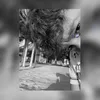 alx.garciat