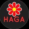 haga.store