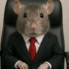 TIKUS KORUPTOR