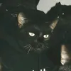daemon525