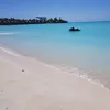 cockrobin777