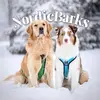 nordicbarks