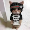 meow.xry