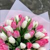 daniela_231118