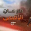 user772061539