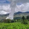 nayaka_2542