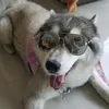 maypimmm