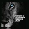 thetruth_2724