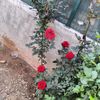 gne.aydar