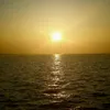 shemsy_0303