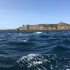 hugo_djrd1