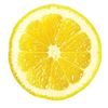 frey_lemon