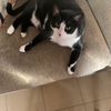 annemarie9678