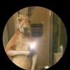 user8368018213234