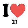 catsareveryepik