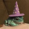 frog_and_hats