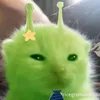 tighn_