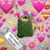 frog.needs.hugs
