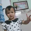 thaodant5