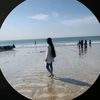 baby_shark1491