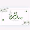 omnia.ahmed8826