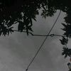 el01_53