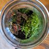 house_plant_48