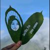 ank_bongsu82