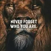 mistrsingh0