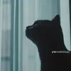 nhmt_070
