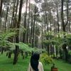 kyaagitu